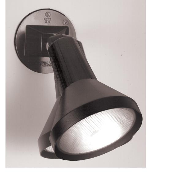 1 Light - 8" - Flood Light - Exterior - PAR38 with Adjustable Swivel - Black Finish