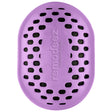 Remodeez No Scent Deodorizer 0.25 lb Solid