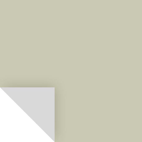Samplize Benjamin Moore Soft Fern Peel & Stick Color Sample 2144-40