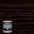 Minwax PolyShades Semi-Transparent Gloss Classic Black Oil-Based Stain/Polyurethane Finish 1 qt