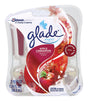 Glade Plug-Ins Apple Cinnamon Scent Air Freshener Oil Refill 1.34 oz Liquid 2 pk