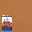 Thompson's WaterSeal Wood Sealer Solid Desert Tan Waterproofing Wood Stain and Sealer 1 gal
