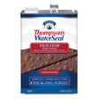 Thompson's WaterSeal Wood Sealer Solid Chestnut Brown Waterproofing Wood Stain and Sealer 1 gal