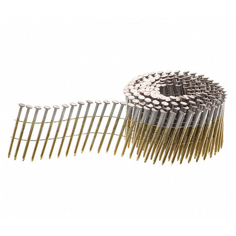 Senco 2-1/4 in. L Angled Coil Hot-Dip Galvanized Nails 15 deg 3,600 pk