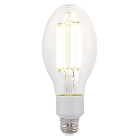 Westinghouse ED23.5 E26 (Medium) Filament LED Bulb Daylight 150 Watt Equivalence 1 pk