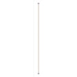 Philips T8 Bi-Pin LED Tube Light Daylight 32 Watt Equivalence 2 pk