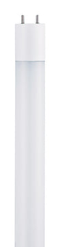Westinghouse T8 G13 (Medium Bi-Pin) LED Bulb Daylight 1 pk