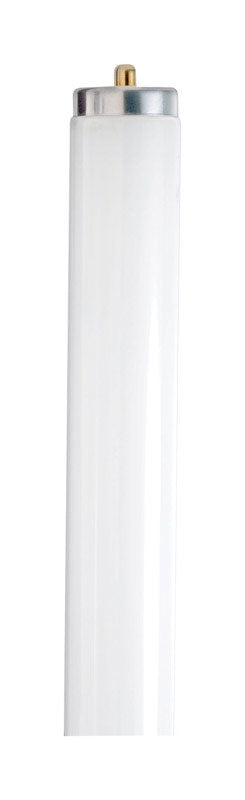 Satco 75 W T12 1.5 in. D X 96 in. L Fluorescent Bulb Cool White Linear 4100 K 1 pk