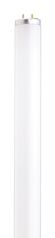 Satco 20 W T12 1.5 in. D X 23.78 in. L Fluorescent Bulb Cool White Linear 4100 K 1 pk