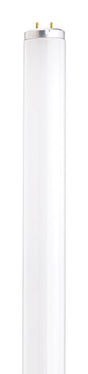 Satco 20 W T12 1.5 in. D X 23.78 in. L Fluorescent Bulb Cool White Linear 4100 K 1 pk