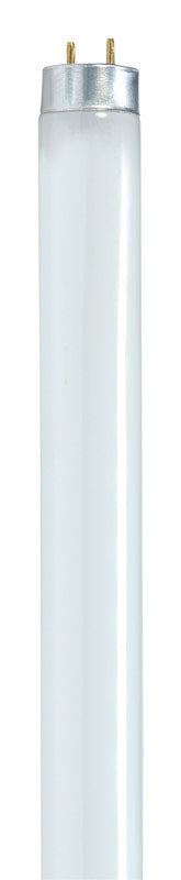 Satco 17 W T8 1 in. D X 23.78 in. L Fluorescent Bulb Cool White Linear 4100 K 1 pk