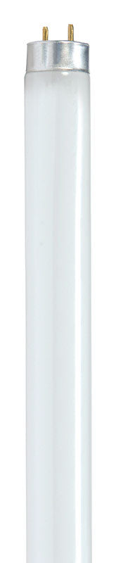Satco 32 W T8 1 in. D X 47.78 in. L Fluorescent Bulb Warm White Linear 3500 K 1 pk