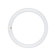 Satco 22 W T9 1.13 in. D X 8 in. L Circline Fluorescent Bulb Daylight Tubular 6500 K 1 pk
