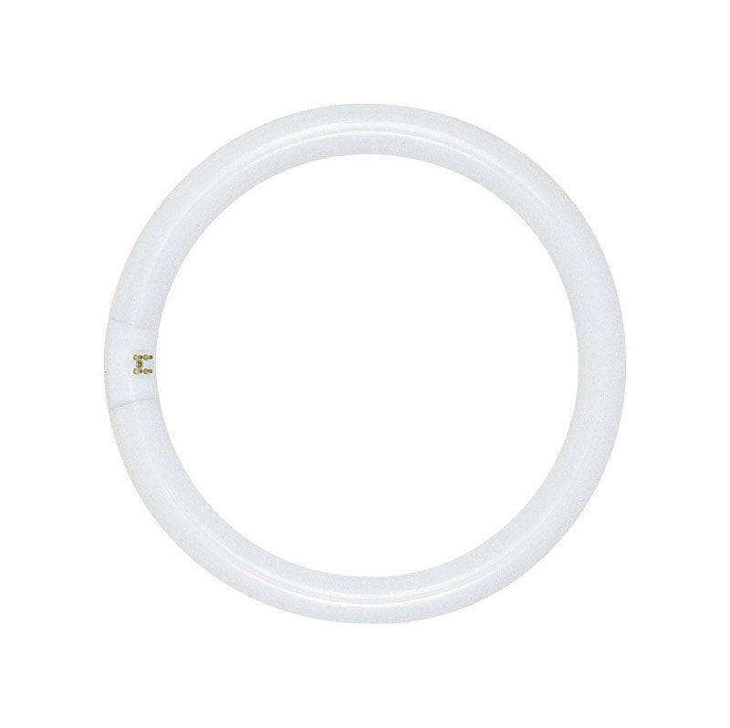 Satco 22 W T9 1.13 in. D X 8 in. L Circline Fluorescent Bulb Daylight Tubular 6500 K 1 pk