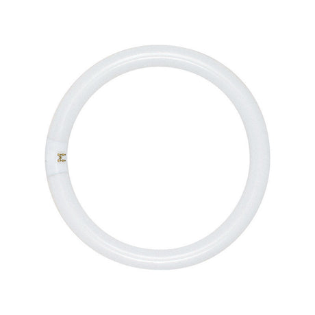 Satco 22 W T9 1.13 in. D X 8 in. L Circline Fluorescent Bulb Daylight Tubular 6500 K 1 pk