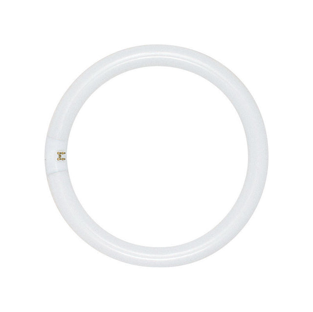 Satco 22 W T9 1.13 in. D X 8 in. L Circline Fluorescent Bulb Daylight Tubular 6500 K 1 pk