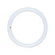 Satco 32 W T9 1.13 in. D X 12 in. L Circline Fluorescent Bulb Daylight Tubular 6500 K 1 pk