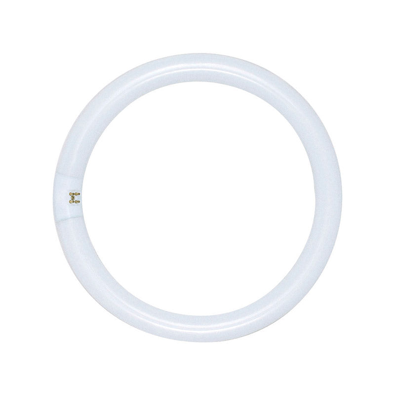 Satco 32 W T9 1.13 in. D X 12 in. L Circline Fluorescent Bulb Daylight Tubular 6500 K 1 pk