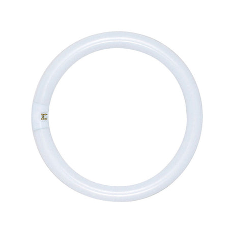 Satco 32 W T9 1.13 in. D X 12 in. L Circline Fluorescent Bulb Daylight Tubular 6500 K 1 pk