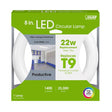 Feit Plug & Play Specialty Cool White 1.2 in. G10Q Circular LED Bulb 22 Watt Equivalence 1 pk