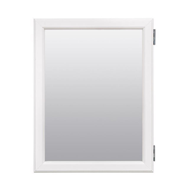 Zenna Home 19.25 in. H X 15.25 in. W X 4.25 in. D Rectangle Medicine Cabinet/Mirror