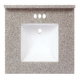 Arstar Charlotte Cultured Marble Vanity Top 31 in. W X 22 in. D Latte