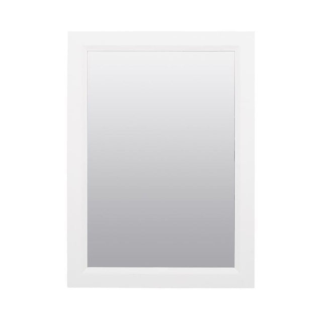 Zenna Home 22.38 in. H X 16.38 in. W X 5 in. D Rectangle Medicine Cabinet
