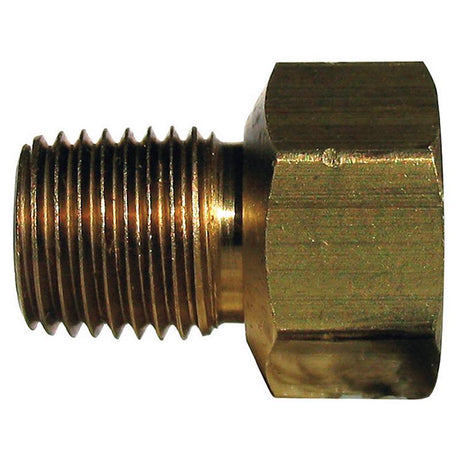 1/4 in. Flare X 1/8 in. D MPT Brass Inverted Flare Adapter