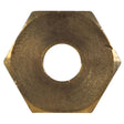 Compression Nut