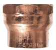 NIBCO 1-1/2 in. Copper X 1-1/2 in. D FPT Copper DWV Pipe Adapter 1 pk