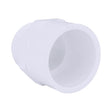 Charlotte Pipe Schedule 40 1-1/4 in. Slip X 1-1/4 in. D MPT PVC Pipe Adapter 1 pk