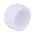 Charlotte Pipe Schedule 40 3/4 in. FPT X 3/4 in. D FPT PVC Cap 1 pk