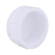 Charlotte Pipe Schedule 40 2 in. FPT X 2 in. D FPT PVC Cap 1 pk