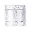 STZ Industries 1-1/2 in. FIP each X 1-1/2 in. D FIP Galvanized Malleable Iron Coupling