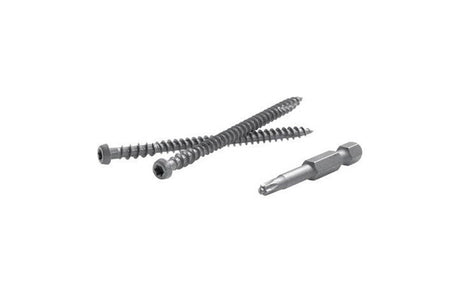 FastenMaster TrapEase No. 20 X 2-1/2 in. L Gravel Path Torx Ttap Star Head Composite Deck Screws 75