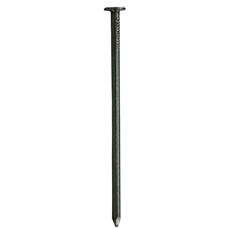 Stallion No. 6 2 in. Trim Hot-Dipped Galvanized Steel Nail Brad Head 5 lb