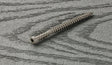 Starborn Cap-Tor No. 10 X 2-3/4 in. L Gray Star Undercut Head Composite Deck Screws 350 pk
