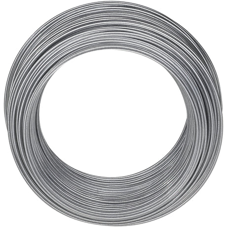 National Hardware Galvanized Silver Picture Wire 30 lb 1 pk