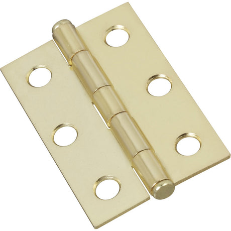 National Hardware 2-1/2 in. L Brass Gold Steel Cabinet Hinge 2 pk