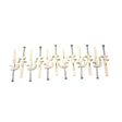 Organized Living Plastic/Steel Versa-Clips with TriLock II Anchor