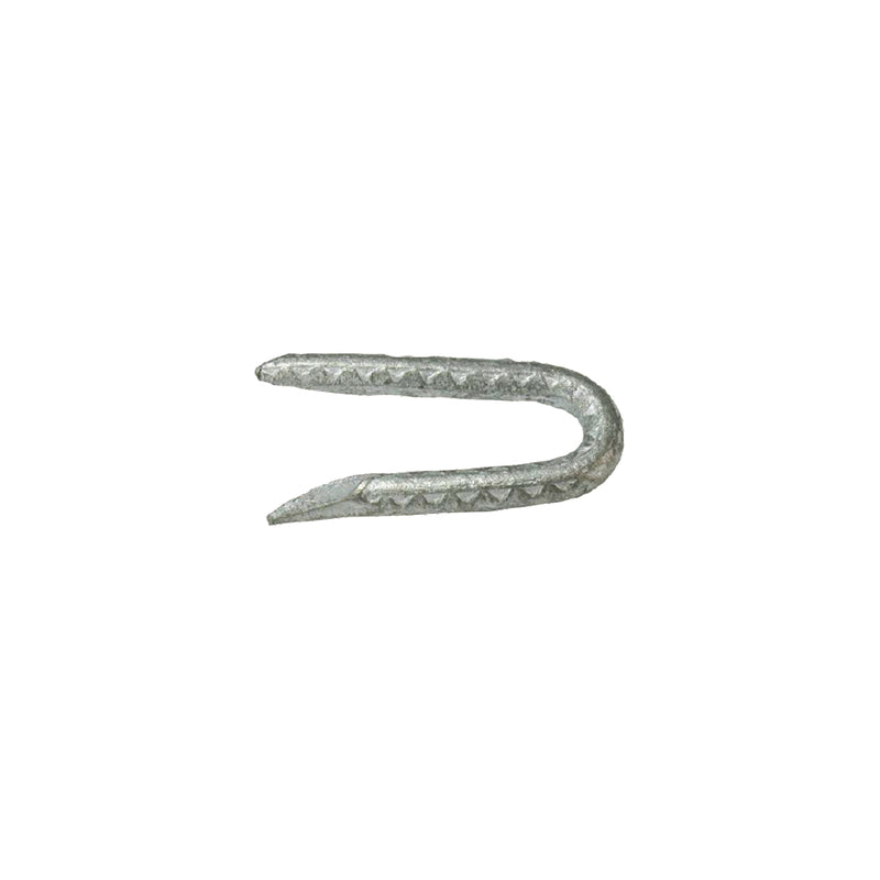 Grip-Rite 1/4 in. W X 1-3/4 in. L Galvanized Steel Fence Staples 9 Ga. 1 lb