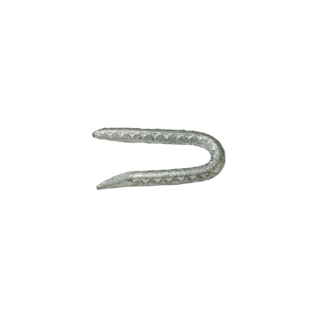 Grip-Rite 1/4 in. W X 1-3/4 in. L Galvanized Steel Fence Staples 9 Ga. 1 lb