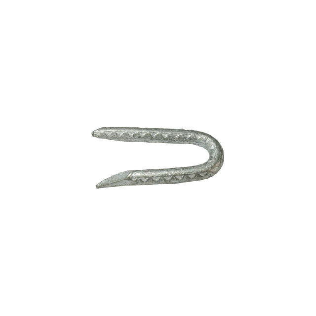 Grip-Rite 1/4 in. W X 1-3/4 in. L Galvanized Steel Fence Staples 9 Ga. 1 lb