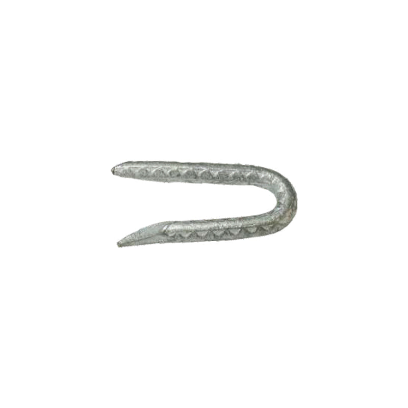 Grip-Rite 1/4 in. W X 2-1/2 in. L Galvanized Steel Fence Staples 9 Ga. 1 lb