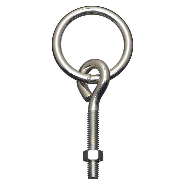 National Hardware Small Zinc-Plated Silver Steel 3-3/4 in. L Ring with Eye Bolt 160 lb 1 pk