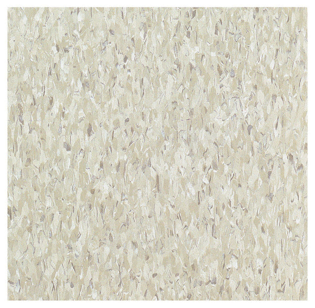 Armstrong 12 in. W X 12 in. L Excelon Imperial Texture Gray/White Vinyl Floor Tile 45 sq ft