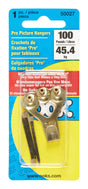 OOK Professional Picture Hanger 100 lb 1 pk