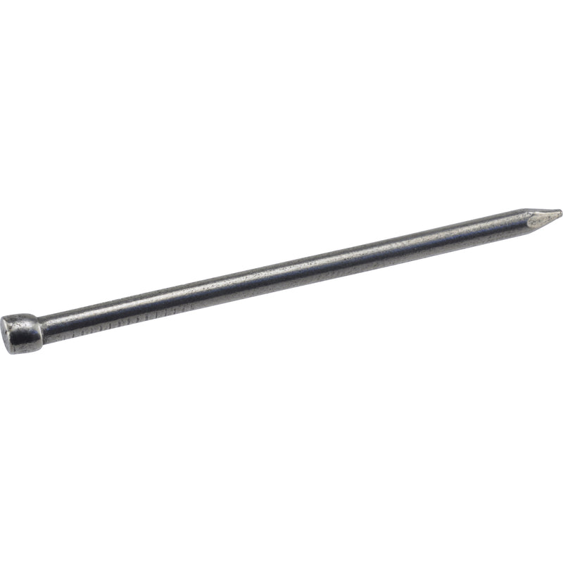 Hillman 6D 2 in. Finishing Polished Steel Nail Large Head