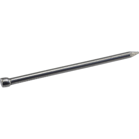 Hillman 6D 2 in. Finishing Polished Steel Nail Large Head