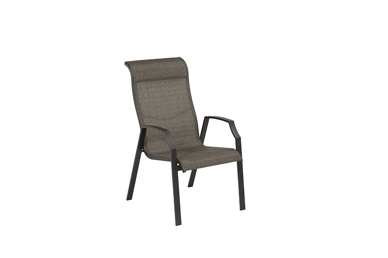 Living Accents Icarus Black Aluminum Frame Chair